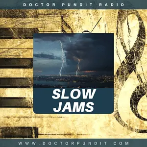 Doctor Pundit Slow Jams